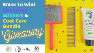 10k Giveaway! Enter to Win These 5 Prizes (Including Our Brand New Doodle Coat Care Bundle!) by Doodle Doods 190 views 3 years ago 3 minutes, 45 seconds