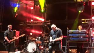 The Stranglers Golden Brown Galtres Festival 2013 HD