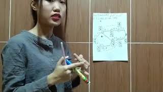MGT 345  Group Assignment (Video Presentation)