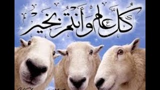 للاطفال اغنية اجمل الخرفان ( خروف العيد) 😋😋