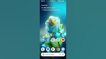 spark launcher magisk module