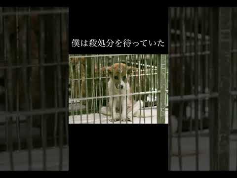 諦めない人達のおかげで今のぼくがあります