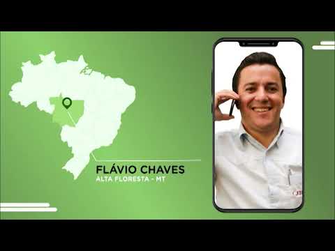 FAZENDEIROS NOTA 10 DÃO SHOW COM TERMINAÇÃO DE NOVILHAS COM PESO DE BOI EM MT