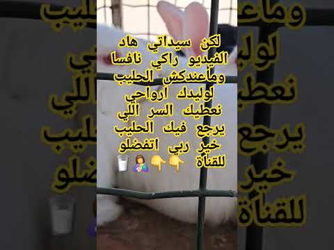 الطبخ الجزائري سر الأرنب فالحليب تونس المغرب مصر تركيا