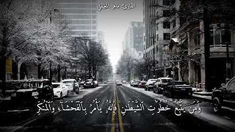 القارئ ماهر المعيقلي/ حالات وتس اب ومقاطع دينيه قصيره/ تلاوه هادئه وشجيه