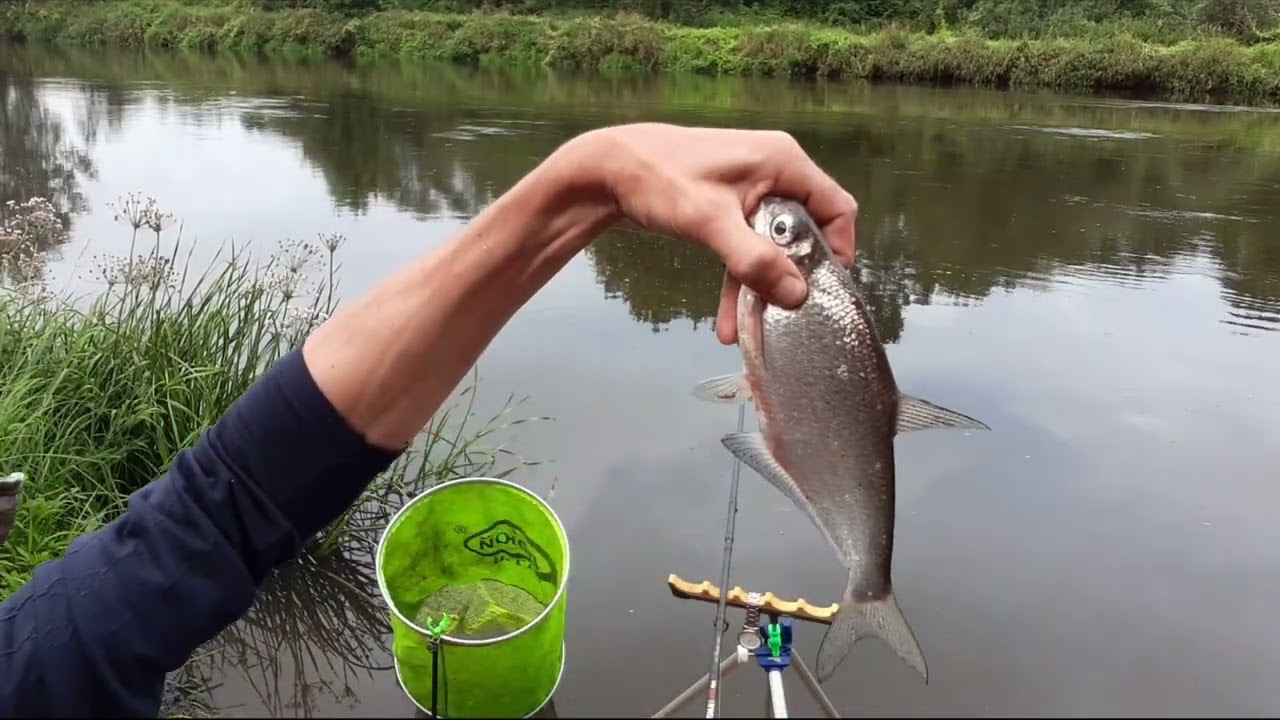 Июль 2023. р. Клязьма .