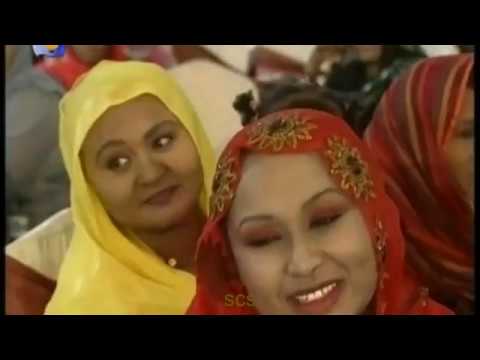 محمد الأمين بريدك
