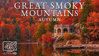 Great Smoky Mountains Autumn 4K 🍁 Sweeping Newfound Gap Fiery Slopes & Endless Vistas UHD screenshot 1