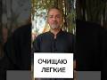 Лёгким становится легче во время этого сеанса