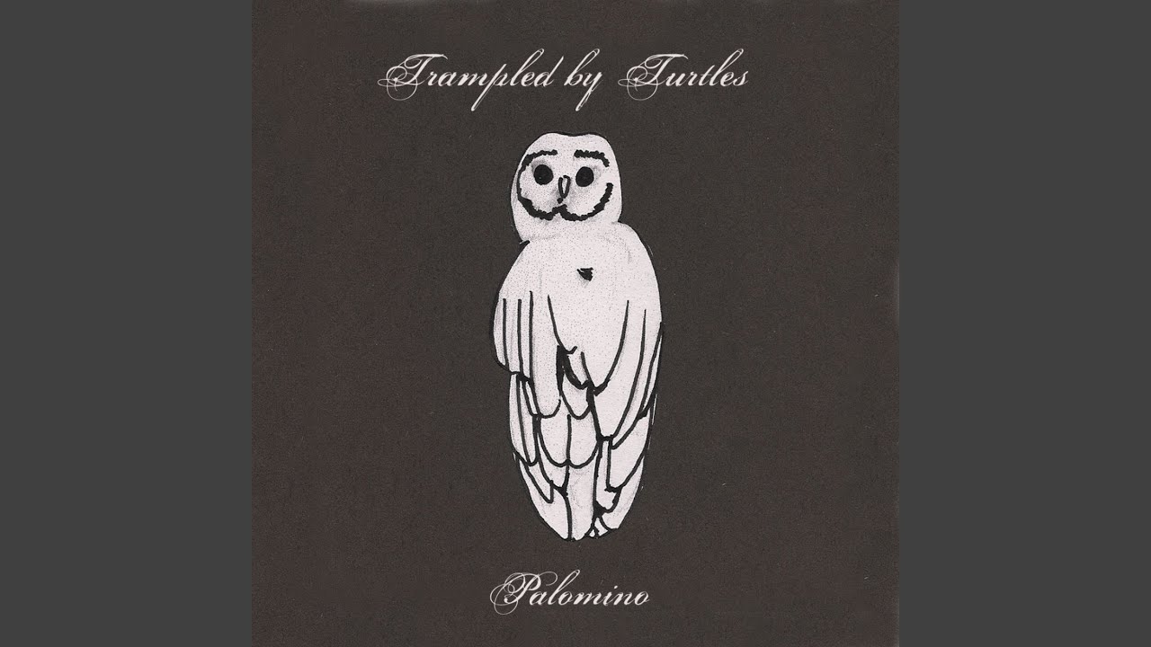 Trampled by Turtles - Bloodshot Eyes