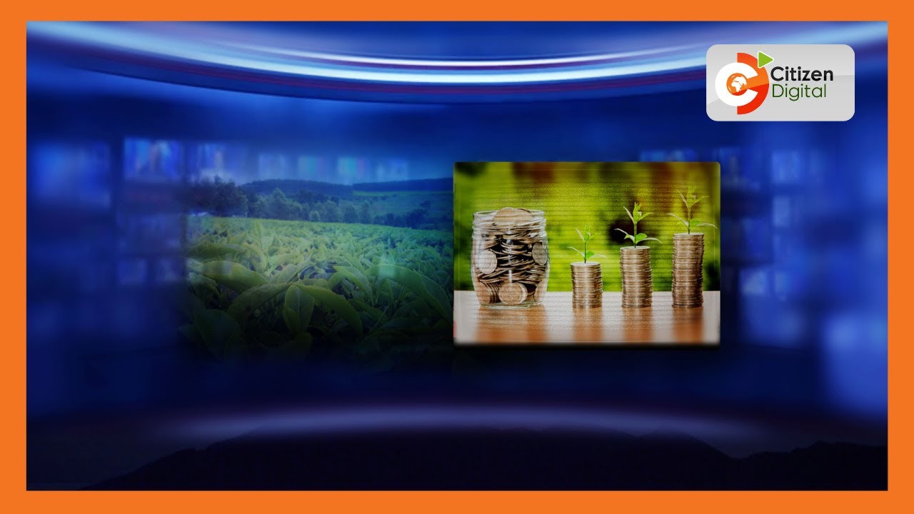 Kericho Government to set up central dairy storage unit