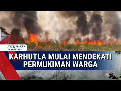 Api Gambut Kembali Menyala! Karhutla Dekati Permukiman Warga