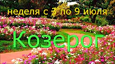 ТАРО-ОРАКУЛ-ГАДАНИЯ