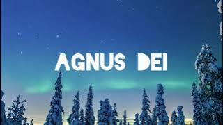 Agnus Dei | Michael W. Smith | Instrumental Worship