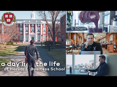 Vídeo: Harvard m'acceptaria?