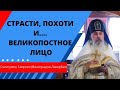 Cтрасти, похоти и... великопостное лицо. Схиигумен Гавриил (Виноградов-Лакербая) . Верую | К.Е.