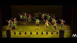 Chicago Raas | Nasha 2018 | Official Front and Back Row