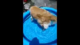 Clip   MOV 0054 Segment100 00 13 00 00 31