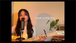Numb Little Bug // Em Beihold (Cover) chords