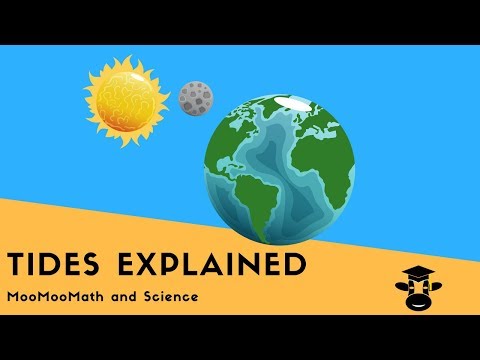 Tides Explained-Spring and Neap Tides