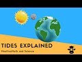 The Forces Behind Tides and Their Effects on Earth's Oceans
