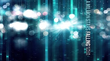 Ninja Tracks - Damage Control