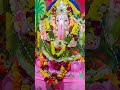 Ganesha #ganesh2025 #viralvideo #shortvideo