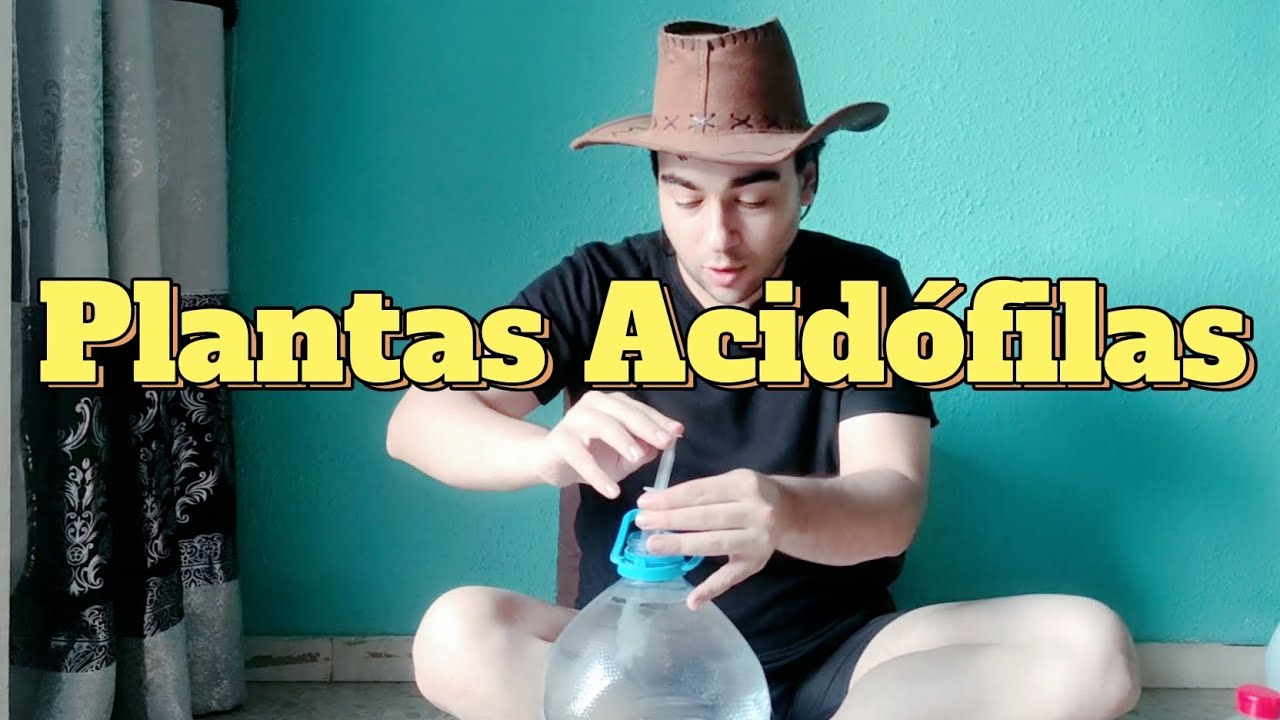 CÓMO ACIDIFICAR EL AGUA DEL GRIFO PARA TUS PLANTAS ACIDÓFILAS