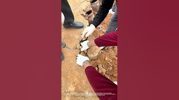 Thumbnail of Honoring The Forgotten : Chaoshan’s Ancient Ritual of Collective Burial