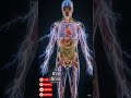 What Milk REALLY Does Inside Your Body