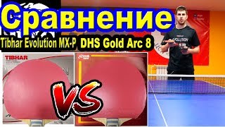 Обзор накладки для настольного тенниса DHS Gold Arc 8 | Сравнение с Tibhar Evolution MX-P