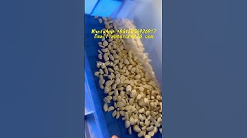 Garlic color sorting