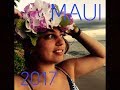 Maui 2017 hawaii summary