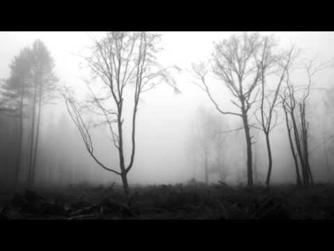 The Anciant Cursing Of The Beast And Her Embrace Video