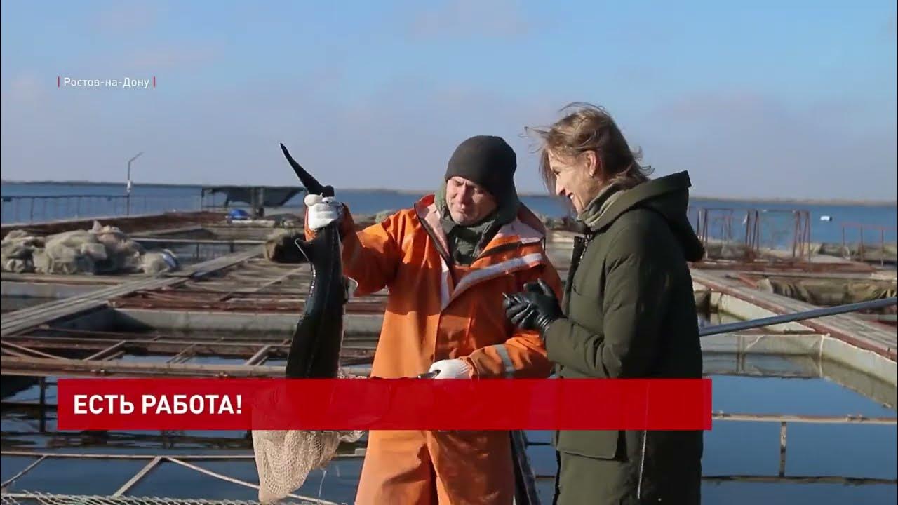 Рыбоводческая ферма. 7 сентября день рыбовода. 7 сентября день рыбовода. Прудовое рыбоводное хозяйство. Профессия рыбовод.