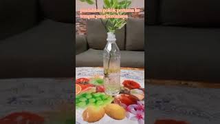 EKSPERIMEN 3 2 TRANSPIRASI SAINS TINGKATAN 3