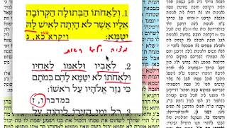 הדף יומי- זבחים ק 100 ראשון י׳   אב  תשע״ח