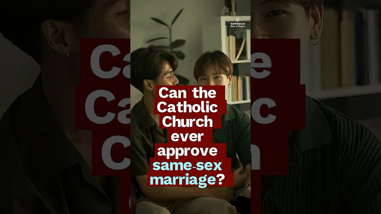 what catholicism teaches about the true definition of marriage #religion #faith #teaching