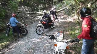 ２０１３１０１４　信楽ツーリング　山城・・・倒木をくぐる＾＾