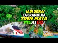 Asi sera la Gran Ruta del Tren Maya en Mexico, beneficiando a los habitantes de la region. 4T Avanza