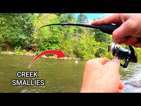 CREEK FISHING for BIG Smallmouth BASS – Potomac River Tributary
