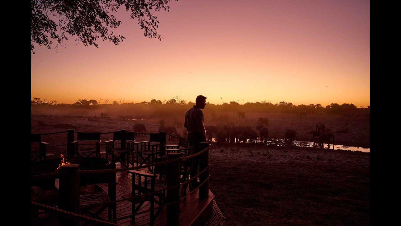 Savute Safari Lodge | 2024