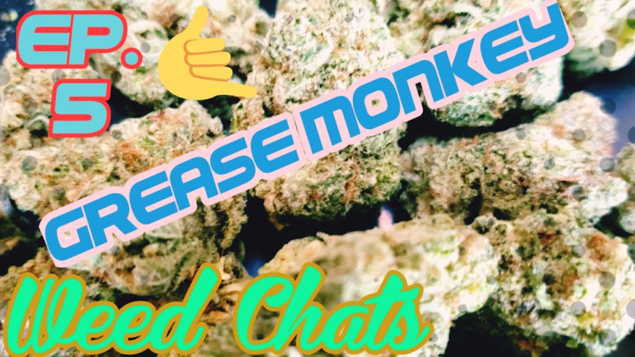 Weed Chats Ep. 5  Grease Monkey Weed Review
