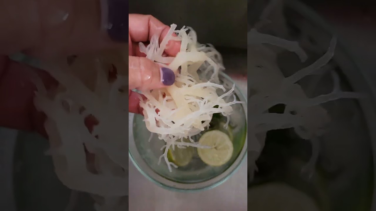 Homemade Sea Moss Gel! 