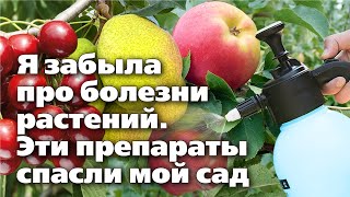 ЧЕМ ОБРАБАТЫВАТЬ ДЕРЕВЬЯ И КУСТАРНИКИ В САДУ.  Надежные  препараты у меня всегда под рукой