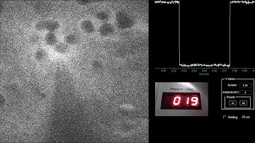 Two-photon targeted whole-cell patching (Neuron #1)