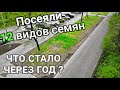 Из 12 травосмесей газона выжило только 4! Выбор семян, результат спустя год