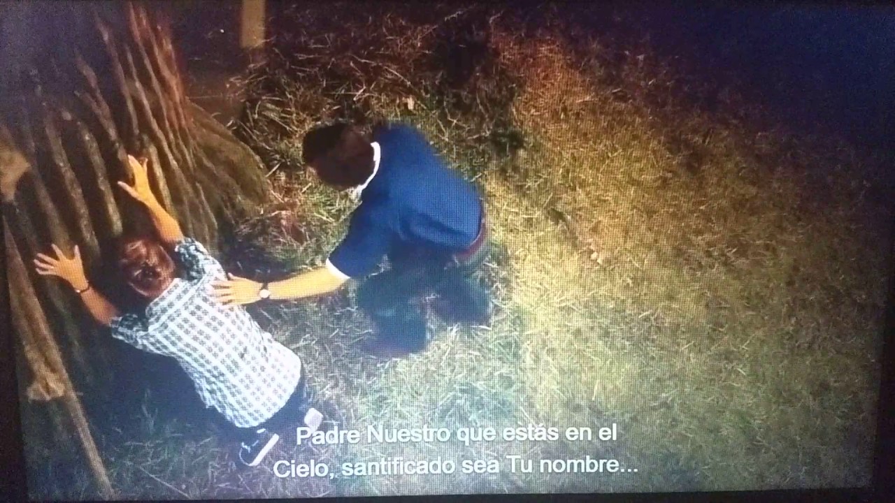 Milagros del cielo - Escena árbol - Miracles from heaven - YouTube