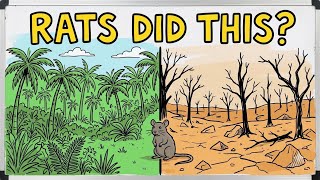 Rats🐀 Did This to Easter Island🏝️