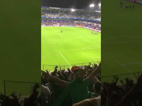 Celtic fans celebrating their win over Anderlecht
